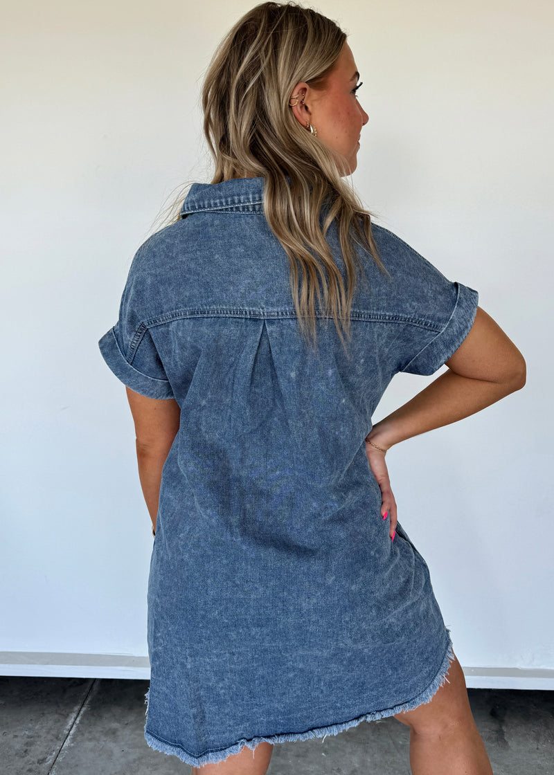 Wells Denim Shirt Dress